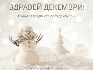 Грижа за градината през Декември