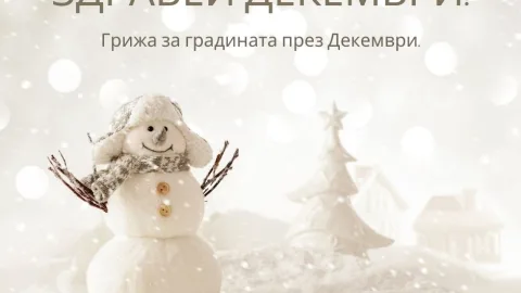 Грижа за градината през Декември