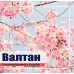 ВАЛТАН – биостимулатор с Ecklonia maxima - за растеж, вкореняване и обилен цъфтеж