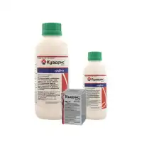 Куадрис 25 СК - комбиниран фунгицид 