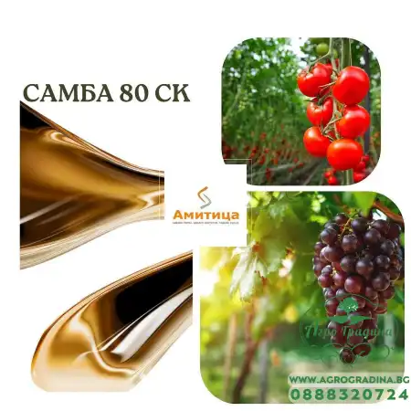 Самба (течна сяра) – контактен фунгицид и акарицид - 1 л