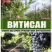 ВИТИСАН – природен фунгицид срещу брашнеста мана, струпясване и ботритис (сива плесен) - 1 кг – Фунгициди