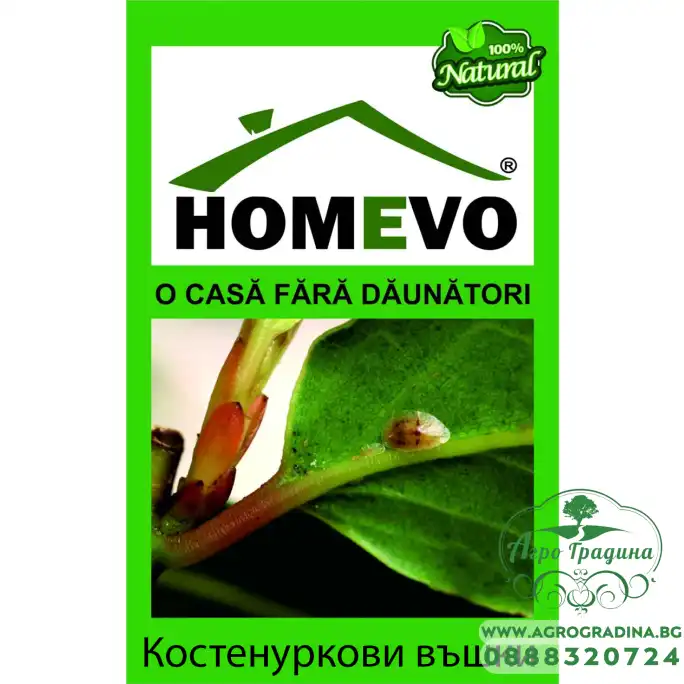 100% натурален препарат срещу Щитоносни (Костенуркови) въшки Homevo paduchi testosi