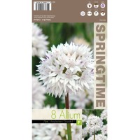 Декоративен лук Грейсфъл Allium Gracefull  – 8 бр луковици