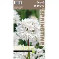 Декоративен лук Грейсфъл Allium Gracefull  – 8 бр луковици