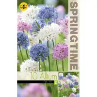 Декоративен лук Микс Allium Mixed – 10 бр луковици