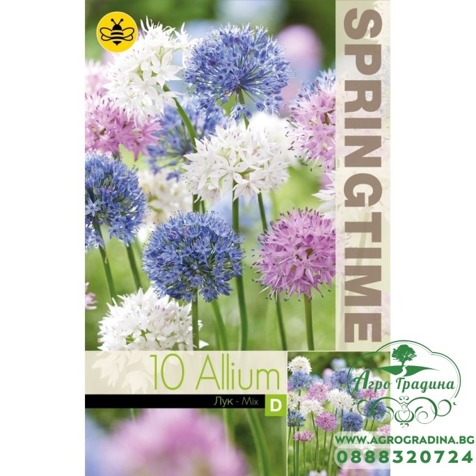 Декоративен лук Микс Allium Mixed – 10 бр луковици Декоративен лук Микс Allium Mixed – 10 бр луковици