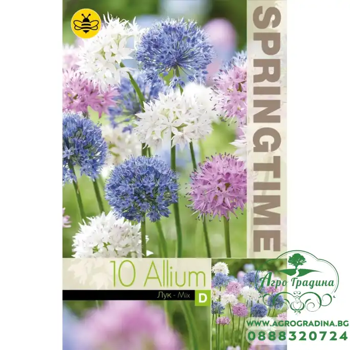 Декоративен лук Микс Allium Mixed – 10 бр луковици Декоративен лук Микс Allium Mixed – 10 бр луковици