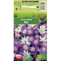 Анемония Микс Бланда / Anemone Blanda - 10 бр луковици