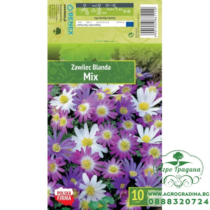 Анемония Микс Бланда / Anemone Blanda - 10 бр луковици