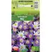Анемония Микс Бланда Anemone Blanda - 10 бр луковици – Пролетни луковици