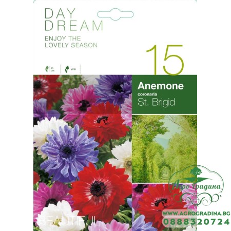 Анемония Микс St. Brigid / Anemone corornaria - 15 бр луковици
