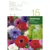 Анемония Микс St. Brigid Anemone corornaria - 15 бр луковици