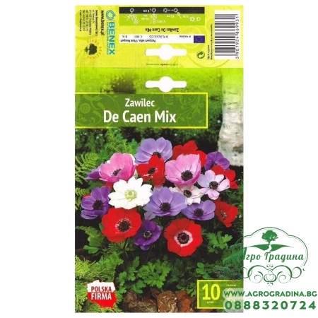 Анемония Микс Кан / Anemone The Caen Mix- 10 бр луковици