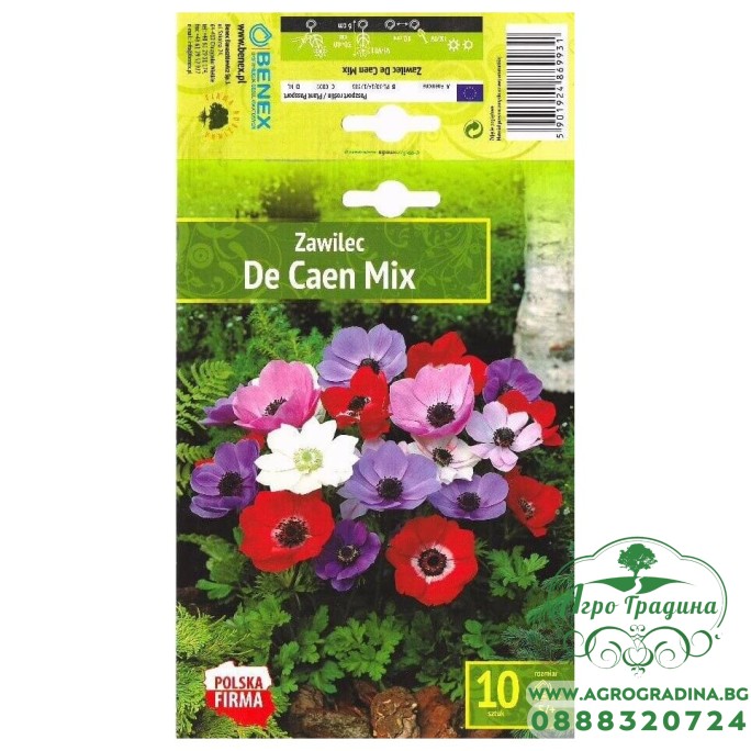 Анемония Микс Кан / Anemone The Caen Mix- 10 бр луковици