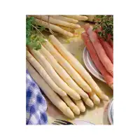 Аспержи Asparagus officinalis L - 1 бр коренище
