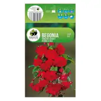 Бегония Червена Каскадна Begonia L - 2 бр грудки