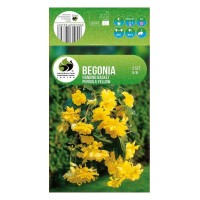 Бегония Жълта Каскадна Begonia L - 2 бр грудки