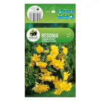 Бегония Жълта Каскадна Begonia L - 2 бр грудки