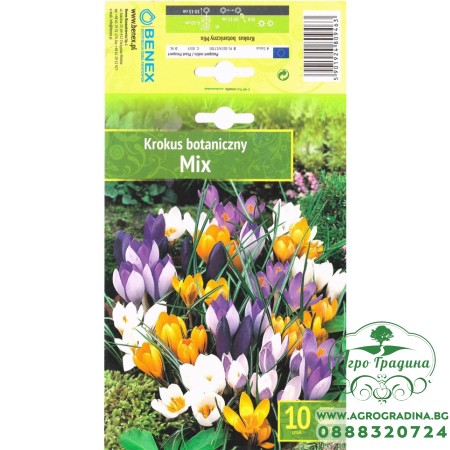 Минзухар Ботанически Микс / Botanical Mix - 10 бр луковици