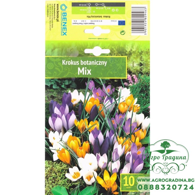 Минзухар Ботанически Микс / Botanical Mix - 10 бр луковици