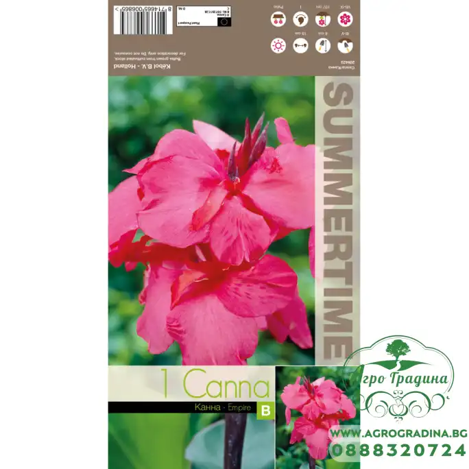 Индийска Кана Емпайър Canna Indica - 1 бр луковица Индийска Кана Емпайър Canna Indica - 1 бр луковица