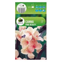 Кана Пинк Бюти Canna - 1 бр луковица