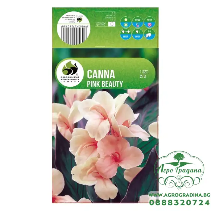 Кана Пинк Бюти Canna - 1 бр луковица Кана Пинк Бюти Canna - 1 бр луковица