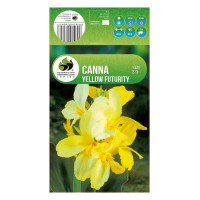 Кана Йелоу Фютюрити Canna - 1 бр луковица
