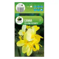 Кана Йелоу Фютюрити Canna - 1 бр луковица