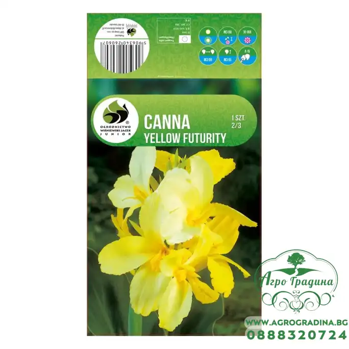 Кана Йелоу Фютюрити Canna - 1 бр луковица Кана Йелоу Фютюрити Canna - 1 бр луковица