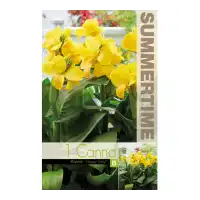 Индийска Кана Щастливата Емили / Canna Indica - 1 бр луковица