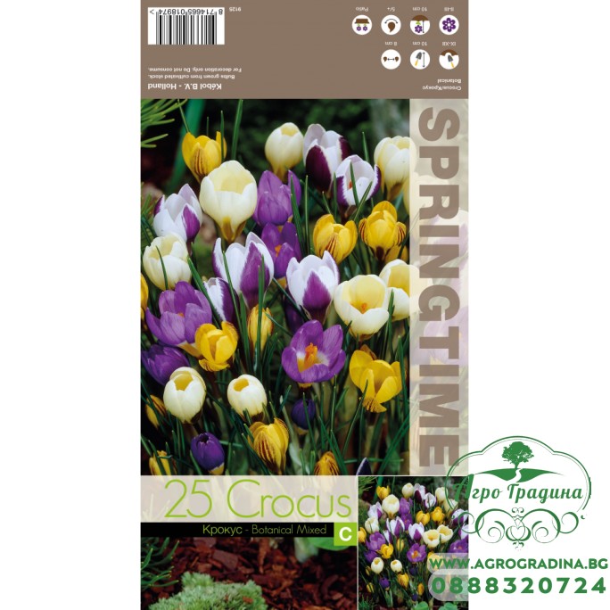 Минзухар Ботанически Микс / Crocus Botanical Mixed - 25 бр луковици