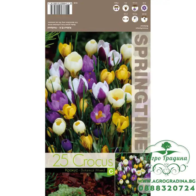 Минзухар Ботанически Микс Crocus Botanical Mixed - 25 бр луковици Минзухар Ботанически Микс Crocus Botanical Mixed - 25 бр луковици