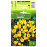 Минзухар Дороти Crocus Dorothy - 10 бр луковици