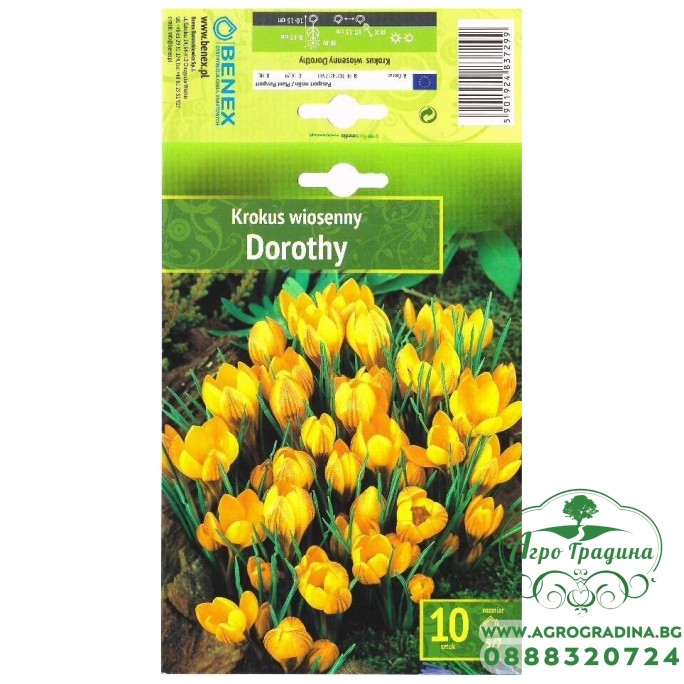 Минзухар Дороти / Crocus Dorothy - 10 бр луковици