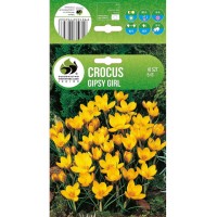 Минзухар Gipsy Girl Crocus - 10 бр луковици