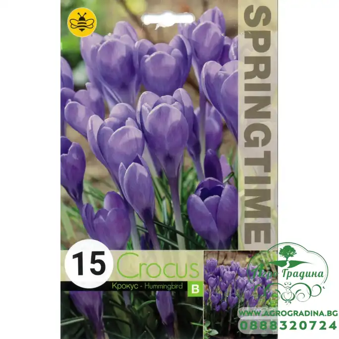 Минзухар Колибри Crocus Hummingbird - 15 бр луковици Минзухар Колибри Crocus Hummingbird - 15 бр луковици
