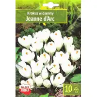 Минзухар Жана дАрк / Crocus Jeanne dArc - AGRONOM 7 бр луковици