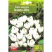 Минзухар Жана дАрк Crocus Jeanne dArc - AGRONOM 7 бр луковици – Есенни луковици