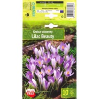 Минзухар Лилава красота / Crocus Lilac Beauty - 10 бр луковици
