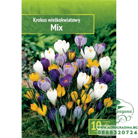 Минзухар Микс / Crocus mix - 10 бр луковици