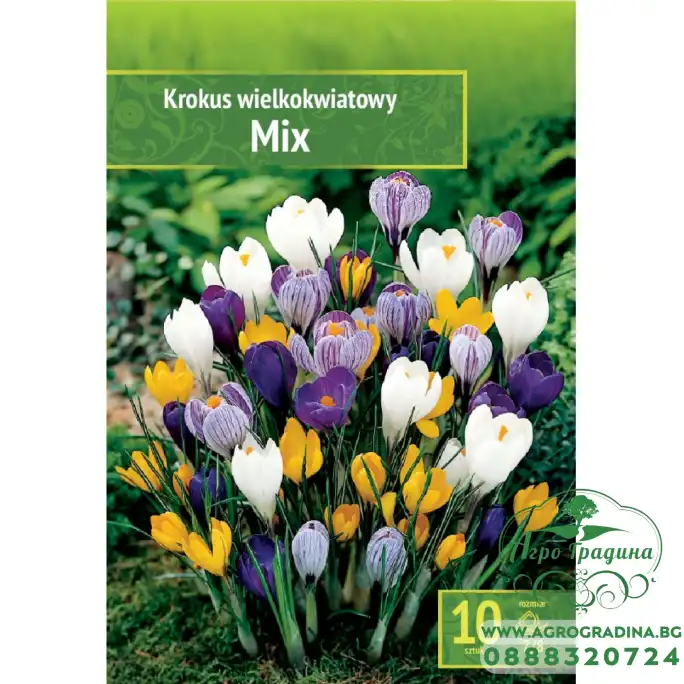 Минзухар Микс Crocus mix - 10 бр луковици Минзухар Микс Crocus mix - 10 бр луковици