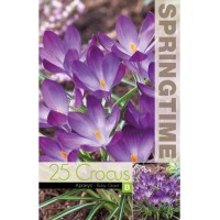 Минзухар Рубин Гигант / Crocus Ruby Giant - 25 бр луковици