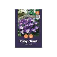 Минзухар Рубин Гигант / Crocus Ruby Giant - AGRONOM - 7 бр луковици