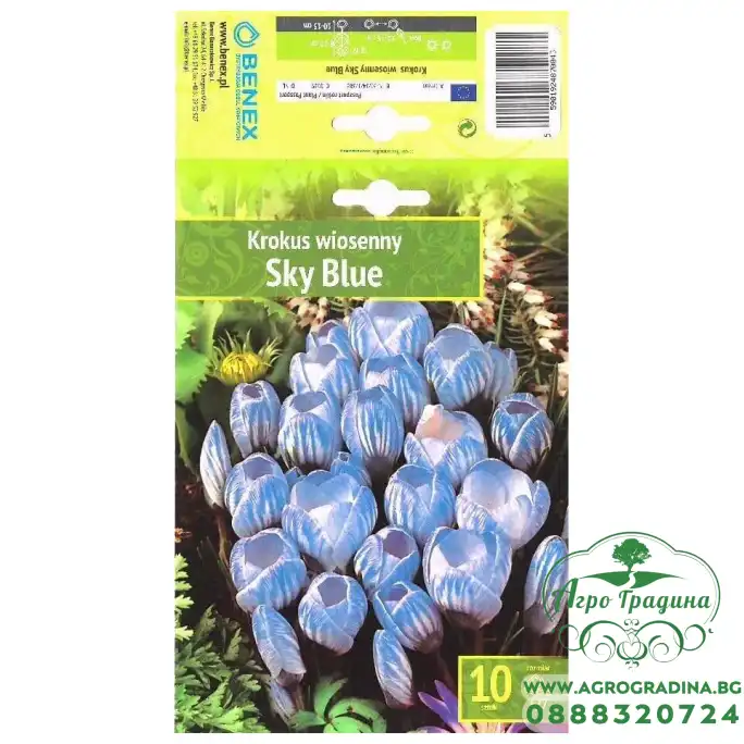 Минзухар Небесно син Crocus Sky Blue - 10 бр луковици