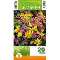 Декоративен лук Микс Allium Mixed – 20 бр луковици