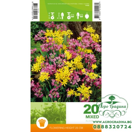 Декоративен лук Микс / Allium Mixed – 20 бр луковици