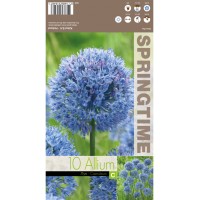 Декоративен лук Син / Allium Caeruleum - 10 бр луковици 