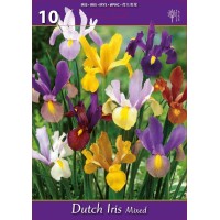 Ирис Холандски Микс / Dutch Iris Mixed - 10 бр луковици